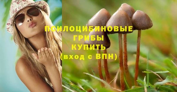хмурый Армянск