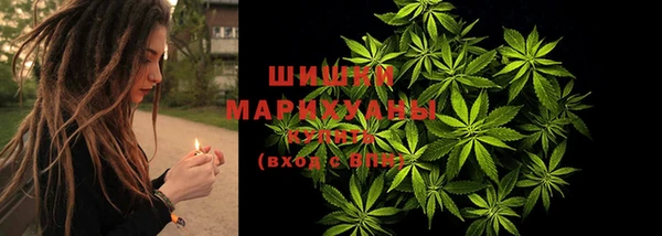 гашик Россошь