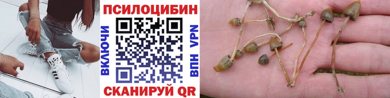 Псилоцибиновые грибы Cubensis  shop формула  Бологое 